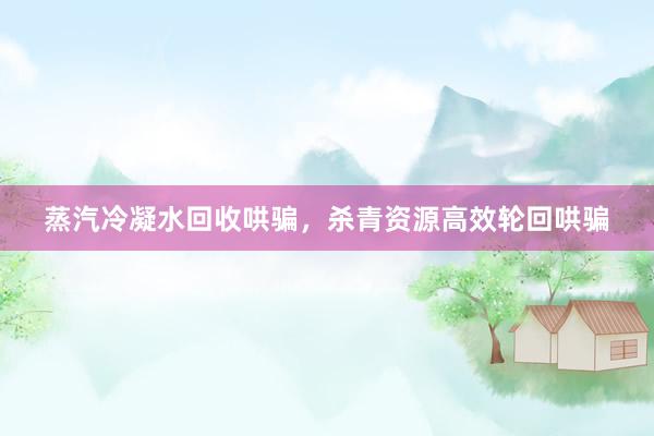 蒸汽冷凝水回收哄骗，杀青资源高效轮回哄骗